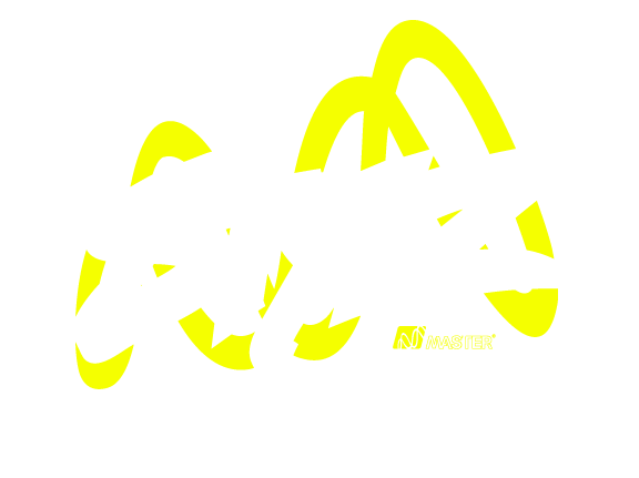 stylz_logo_1155271652